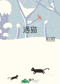 遇猫
