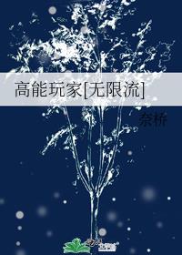 高能玩家[无限流]