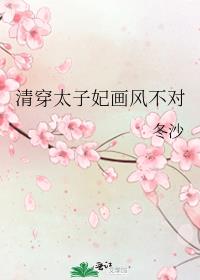 清穿太子妃画风不对