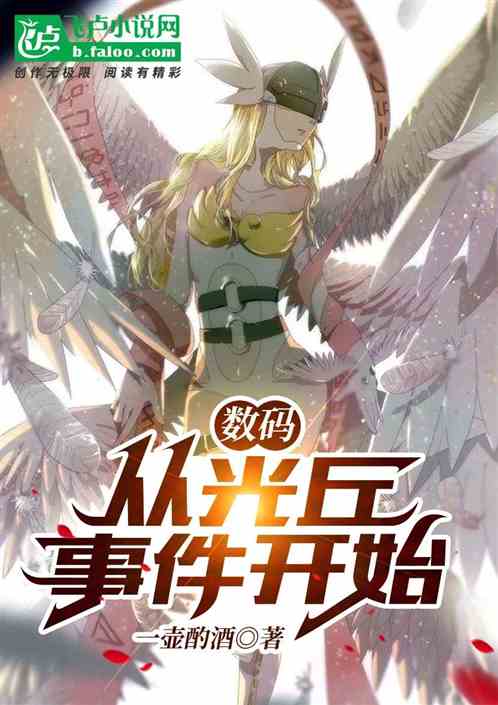 数码：从光丘事件开始