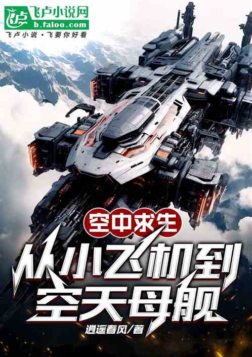 空中求生：从小飞机到空天母舰