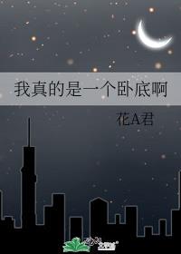 我真的是一个卧底啊