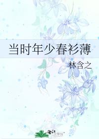 当时年少春衫薄