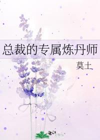 总裁的专属炼丹师