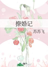 撩婚记
