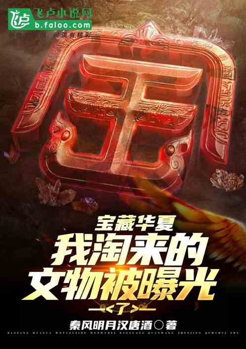 宝藏华夏：我淘来的文物被曝光