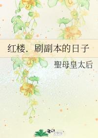 红楼．刷副本的日子