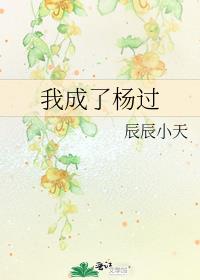 我成了杨过