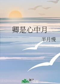 卿是心中月