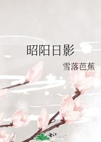 昭阳日影