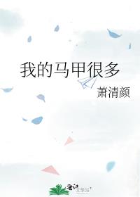 我的马甲很多
