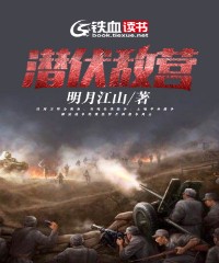 潜伏敌营
