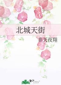 北城天街