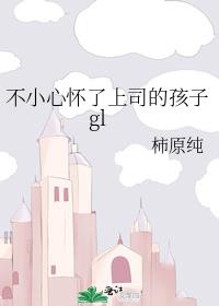不小心怀了上司的孩子gl