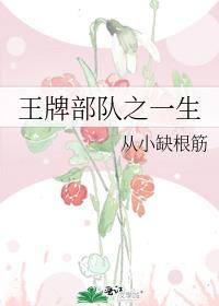 王牌部队之一生