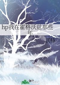 hp我在霍格沃兹那些年