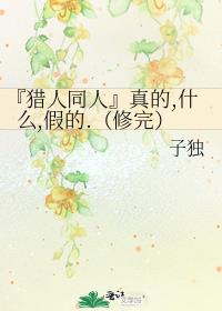 『猎人同人』真的,什么,假的.（修完）