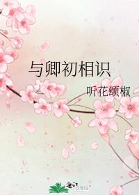 与卿初相识