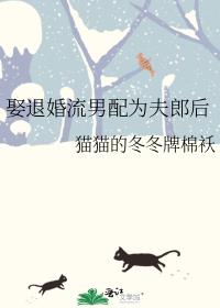 娶退婚流男配为夫郎后