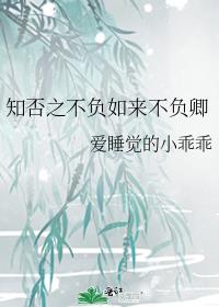 知否之不负如来不负卿