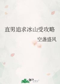 直男追求冰山受攻略