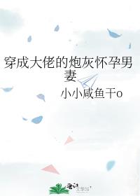 穿成大佬的炮灰怀孕男妻