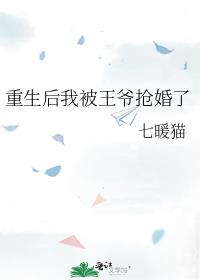 重生后我被王爷抢婚了