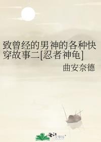 致曾经的男神的各种快穿故事二[忍者神龟]