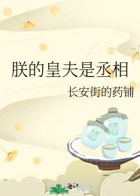 朕的皇夫是丞相