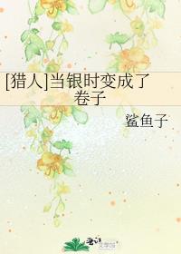 [猎人]当银时变成了卷子