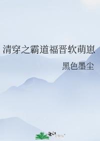 清穿之霸道福晋软萌崽