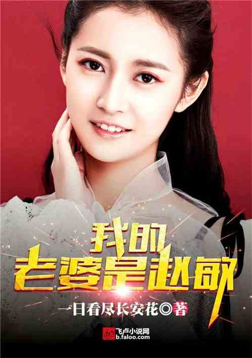 我的老婆是赵敏