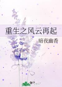 重生之风云再起
