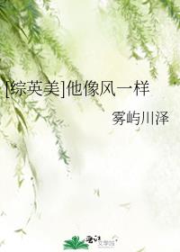 [综英美]他像风一样