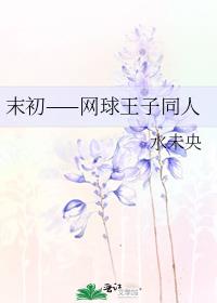 末初——网球王子同人