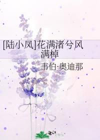 [陆小凤]花满渚兮风满棹
