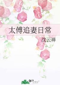 太傅追妻日常