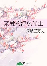 亲爱的海藻先生