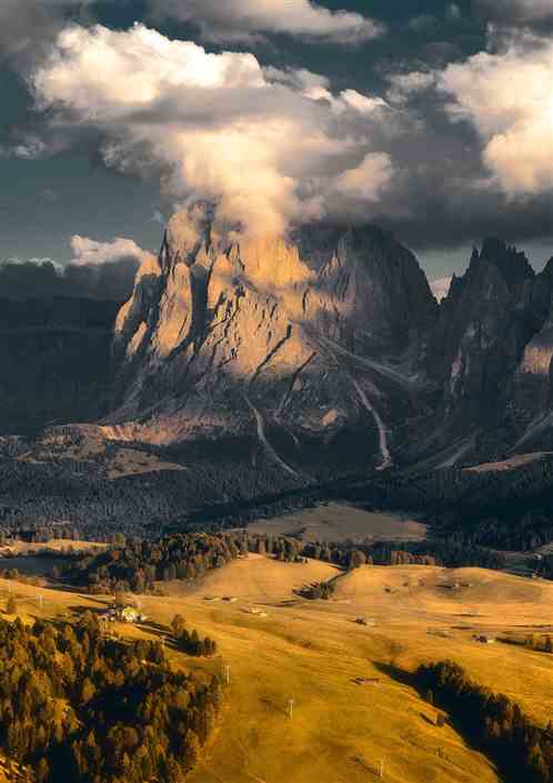 长盘森林的魅影