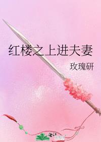 红楼之上进夫妻