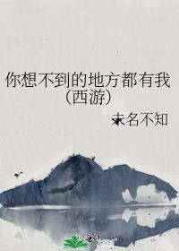 你想不到的地方都有我（西游）