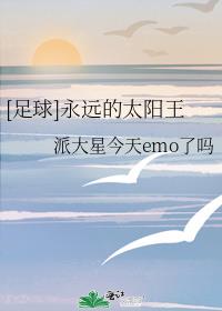 [足球]永远的太阳王