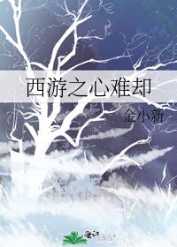 西游之心难却