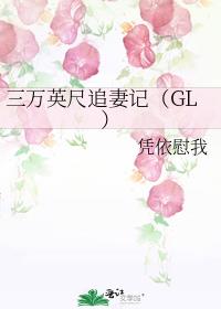 三万英尺追妻记（GL）