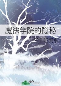 魔法学院的隐秘