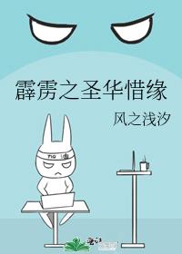 霹雳之圣华惜缘