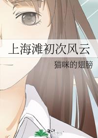 上海滩初次风云