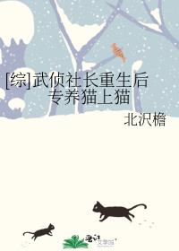 [综]武侦社长重生后专养猫上猫
