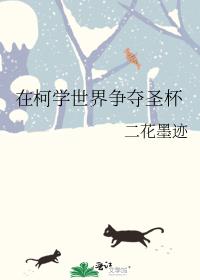 在柯学世界争夺圣杯