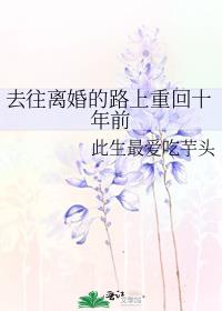 去往离婚的路上重回十年前